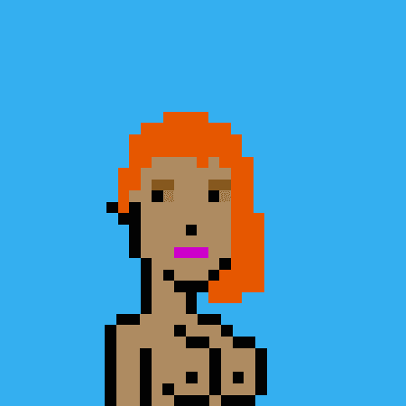 BOOBPUNKS #293