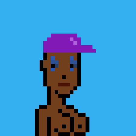 BOOBPUNKS #493