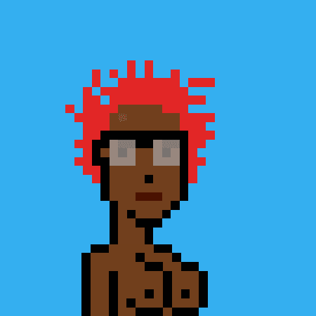 BOOBPUNKS #496