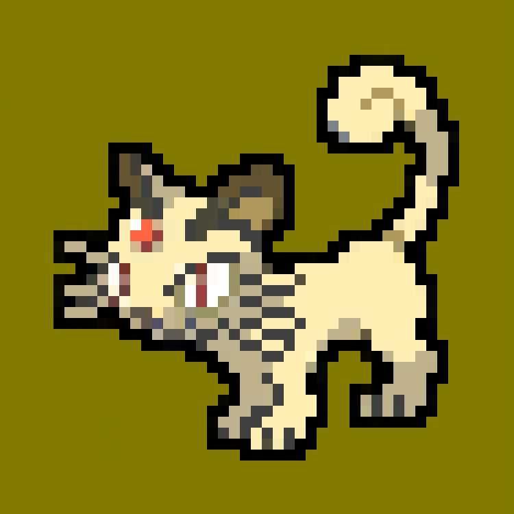 POKEMONKAS #114