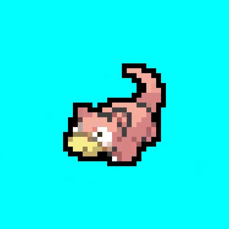 POKEMONKAS #23